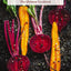 Vegetables: The Ultimate Cookbook Featuring 300+ Delicious Plant-Based Recipes (Natural Foods Cookbook, Vegetable Dishes, Cooking and Gardening Books, ... Food, Gifts for Foodies) (Ultimate Cookbooks)