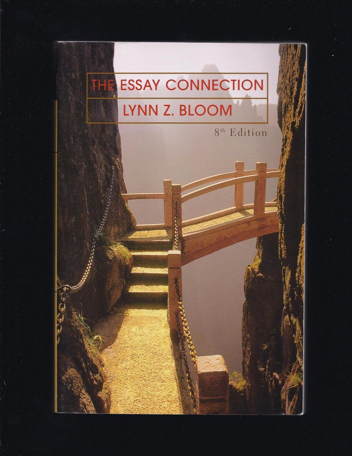 The Essay Connection