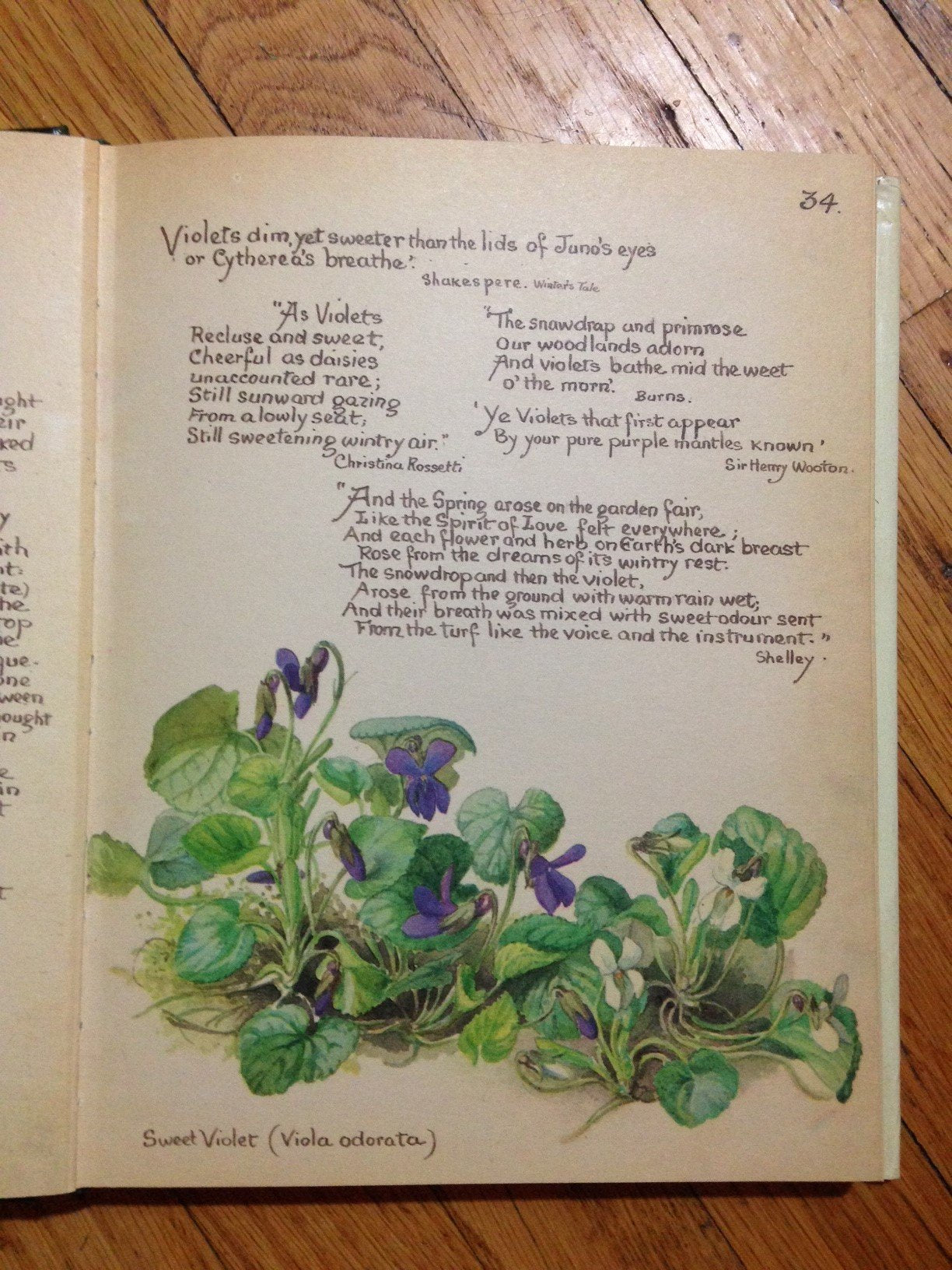 The Country Diary of an Edwardian Lady