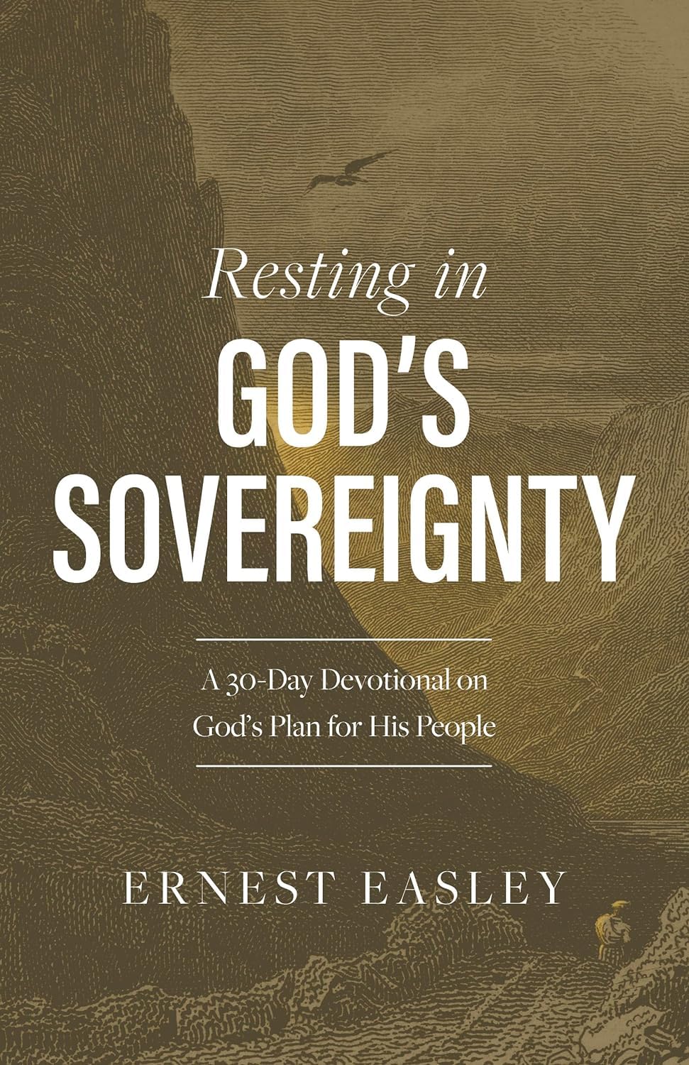 Resting in God's Sovereignty: A 30-Day Devotional on Gods Plan for His People