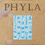 On the Origin of Phyla