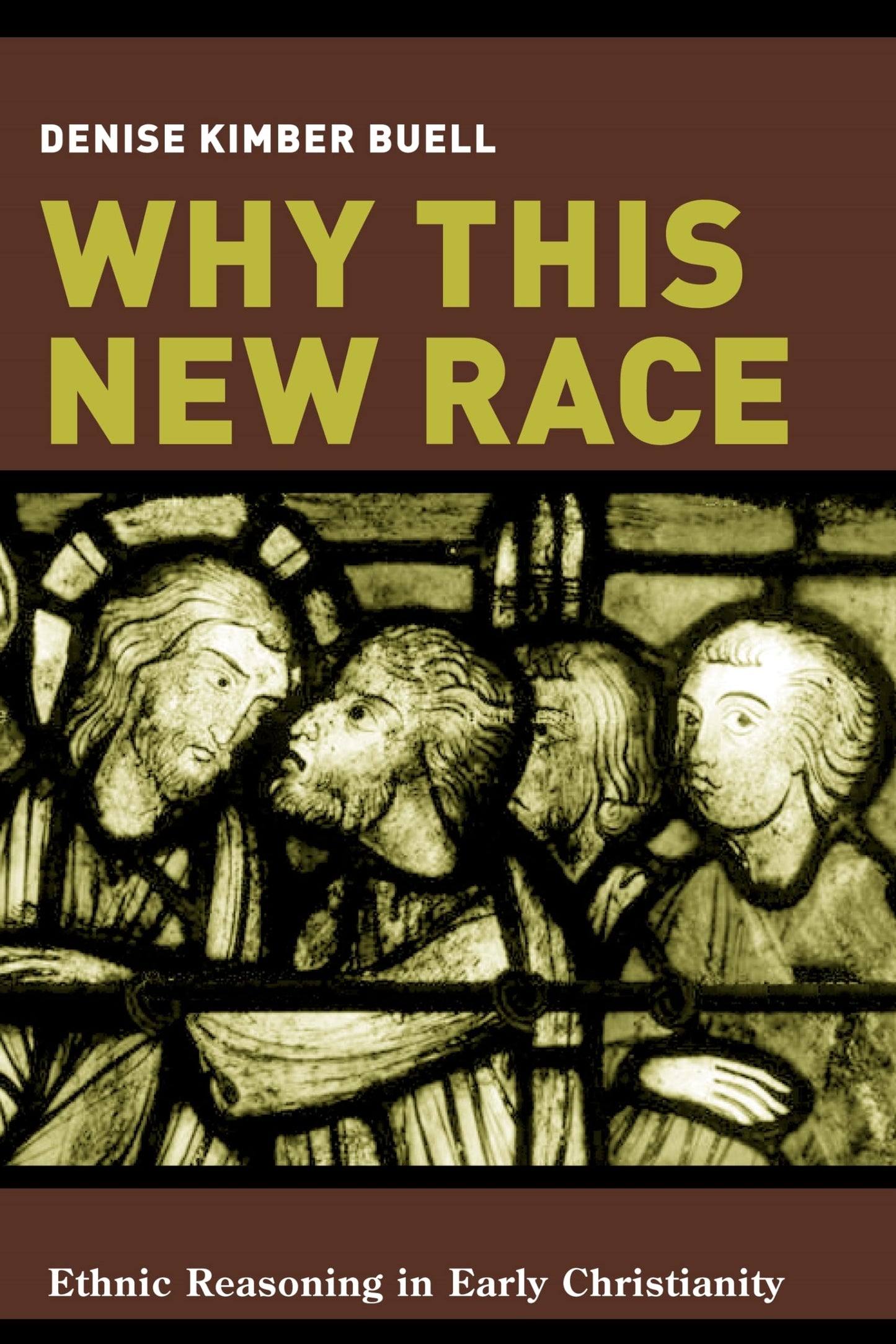 Why This New Race: Ethnic Reasoning in Early Christianity (Gender, Theory, and Religion)