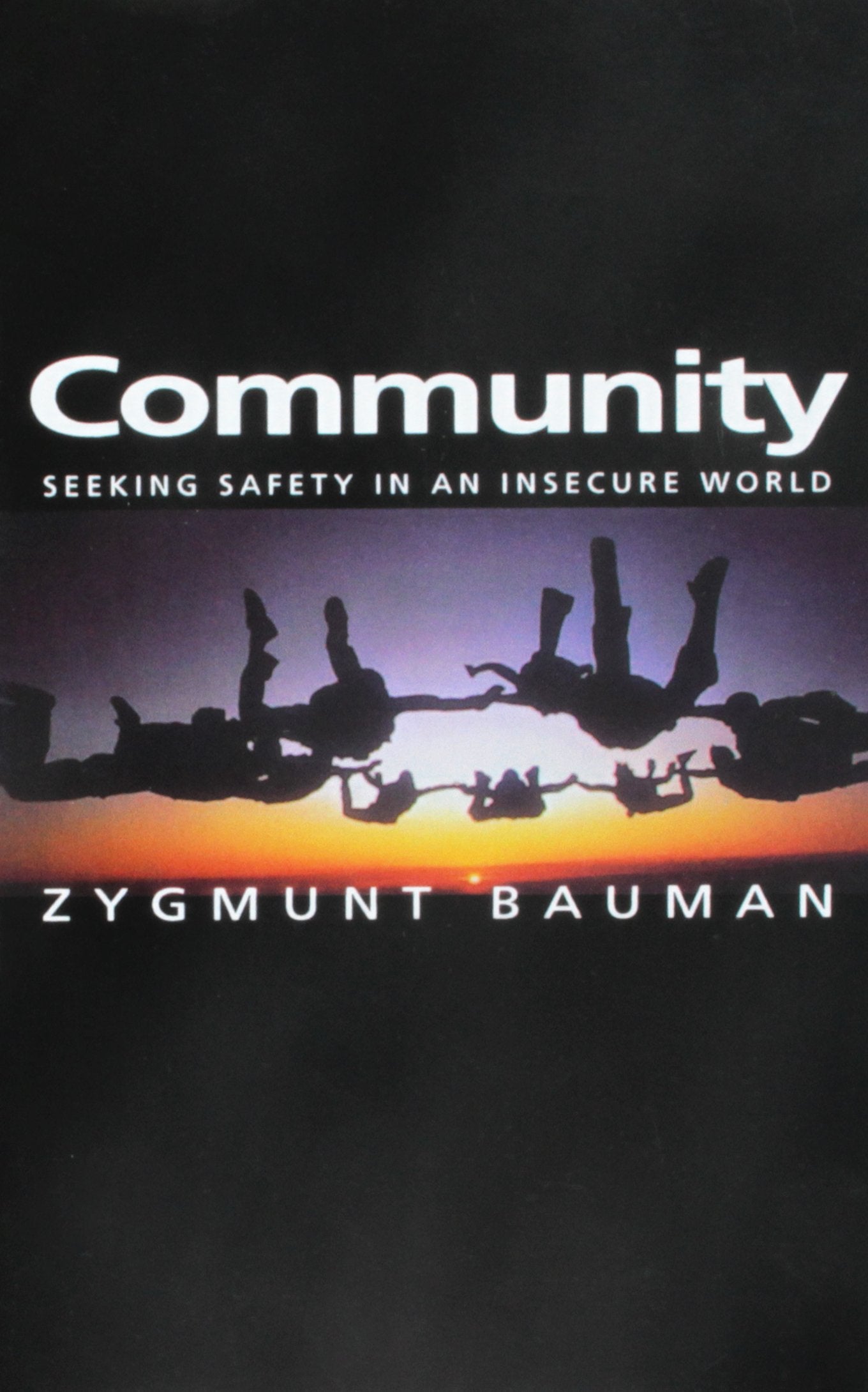 Community: Seeking Safety in an Insecure World (Themes for the 21st Century)