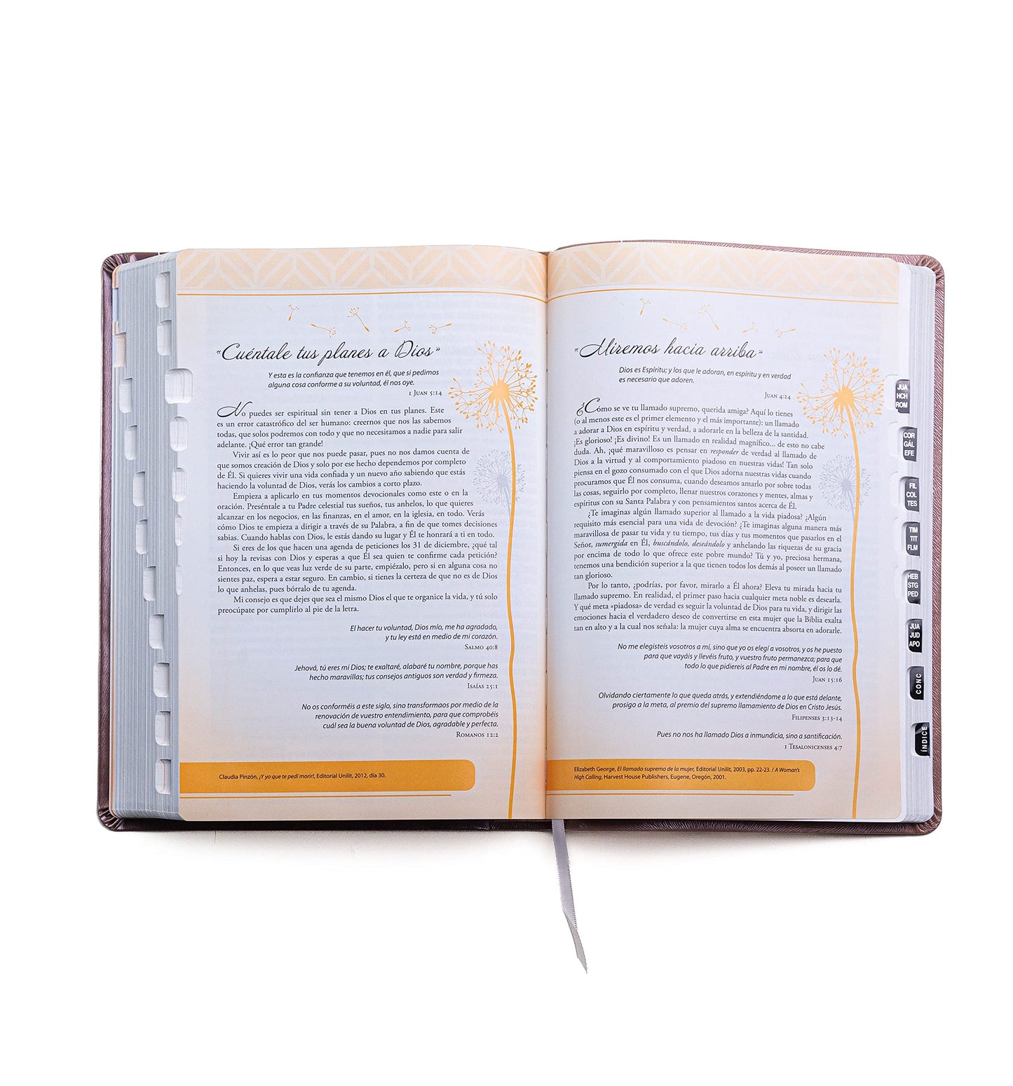 Biblia para Mujeres Reina Valera 1960 - de Promesas Inspira  Letra Gigante (13 pts)  Piel Especial con ?ndice  Rosa Dorado  Spanish Promise Bible with Index (Spanish Edition)