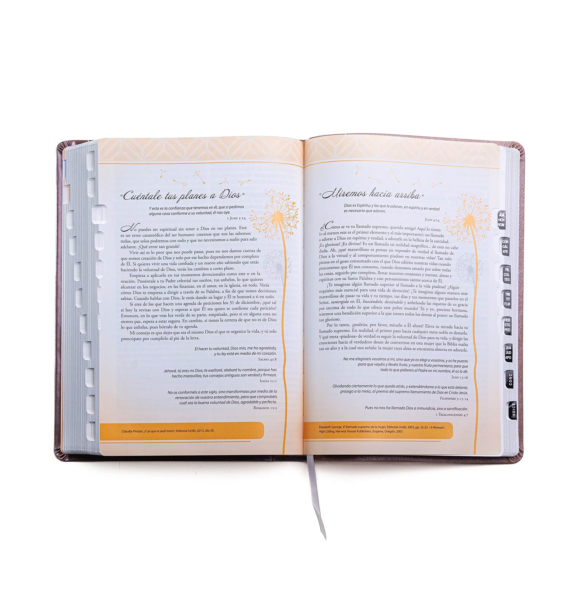 Biblia para Mujeres Reina Valera 1960 - de Promesas Inspira  Letra Gigante (13 pts)  Piel Especial con ?ndice  Rosa Dorado  Spanish Promise Bible with Index (Spanish Edition)