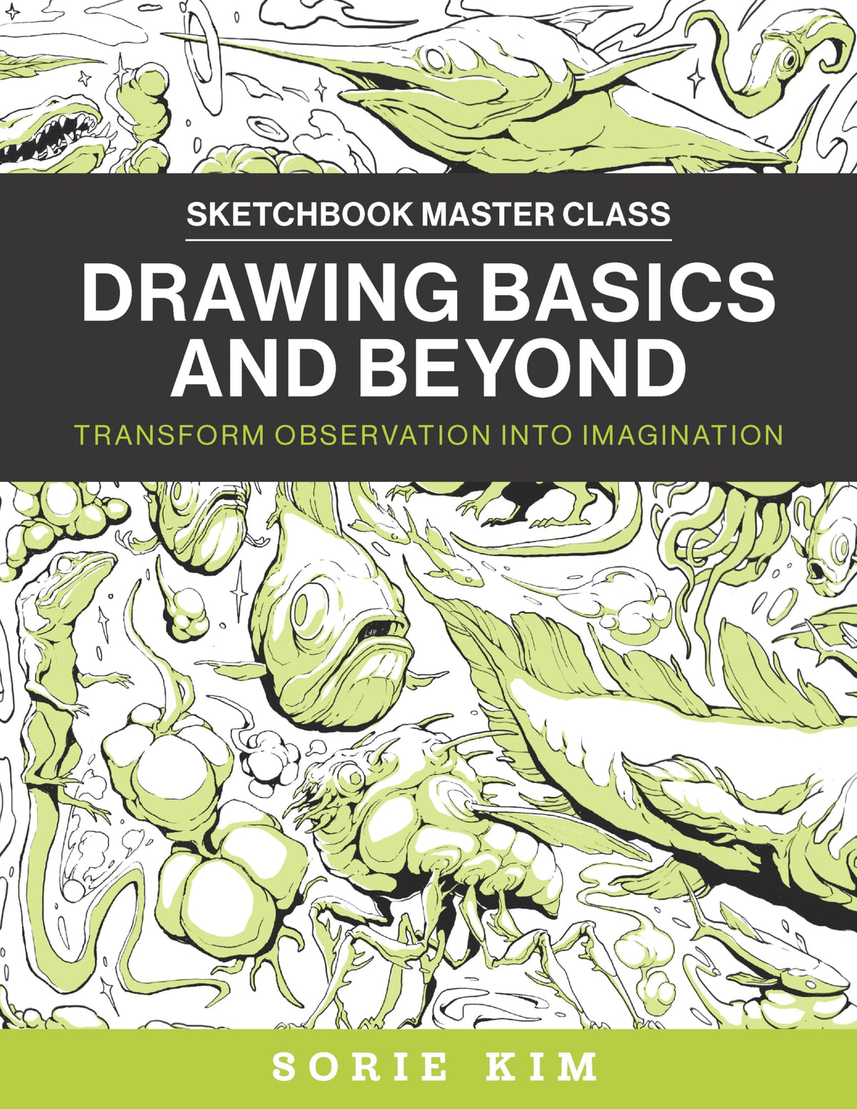 Drawing Basics and Beyond: Transform Observation into Imagination (Sketchbook Master Class)