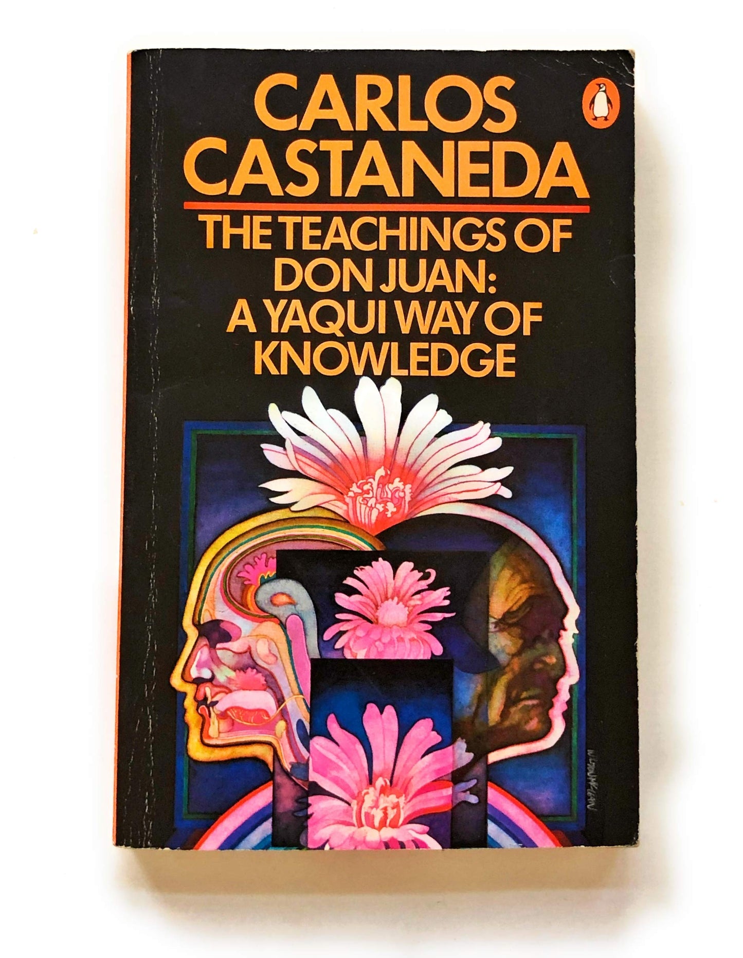 The Teachings of Don Juan: A Yaqui Way of Knowledge by Carlo