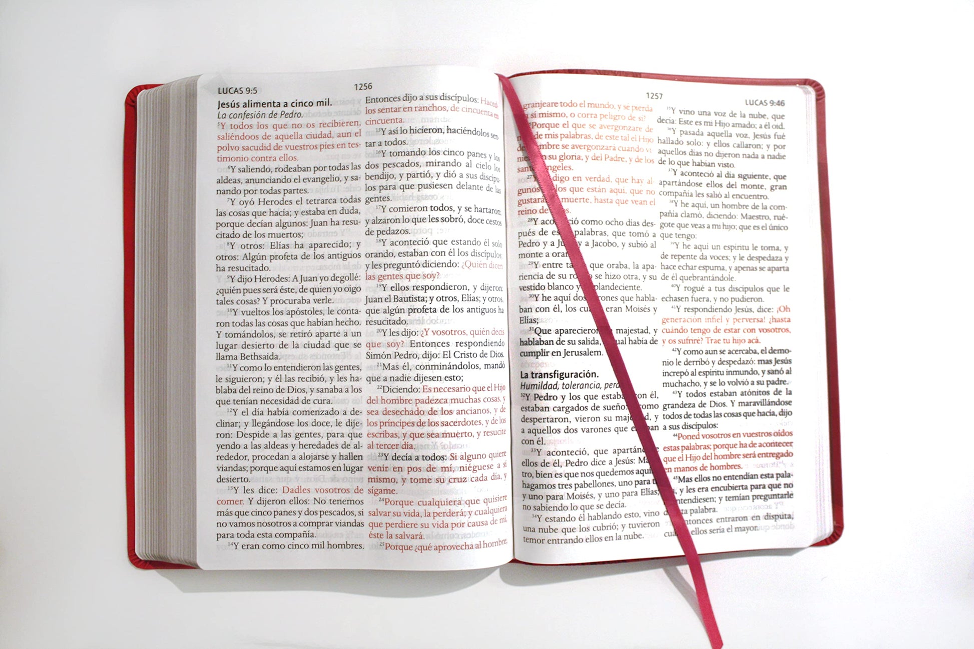 Biblia Reina Valera letra súper gigante, símil piel fucsia / Spanish Bible Reina Valera Super Giant Print, Fuchsia Leathersoft (Spanish Edition)
