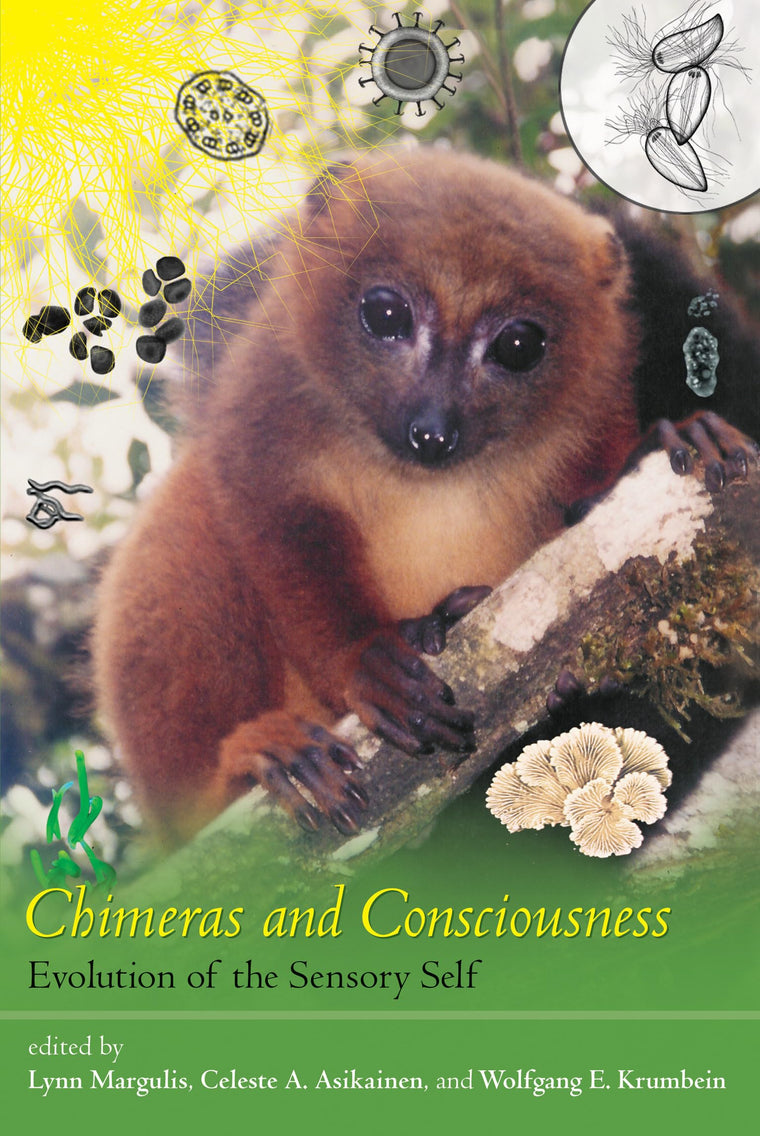 Chimeras and Consciousness: Evolution of the Sensory Self by