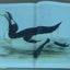 Edward Lear's Birds