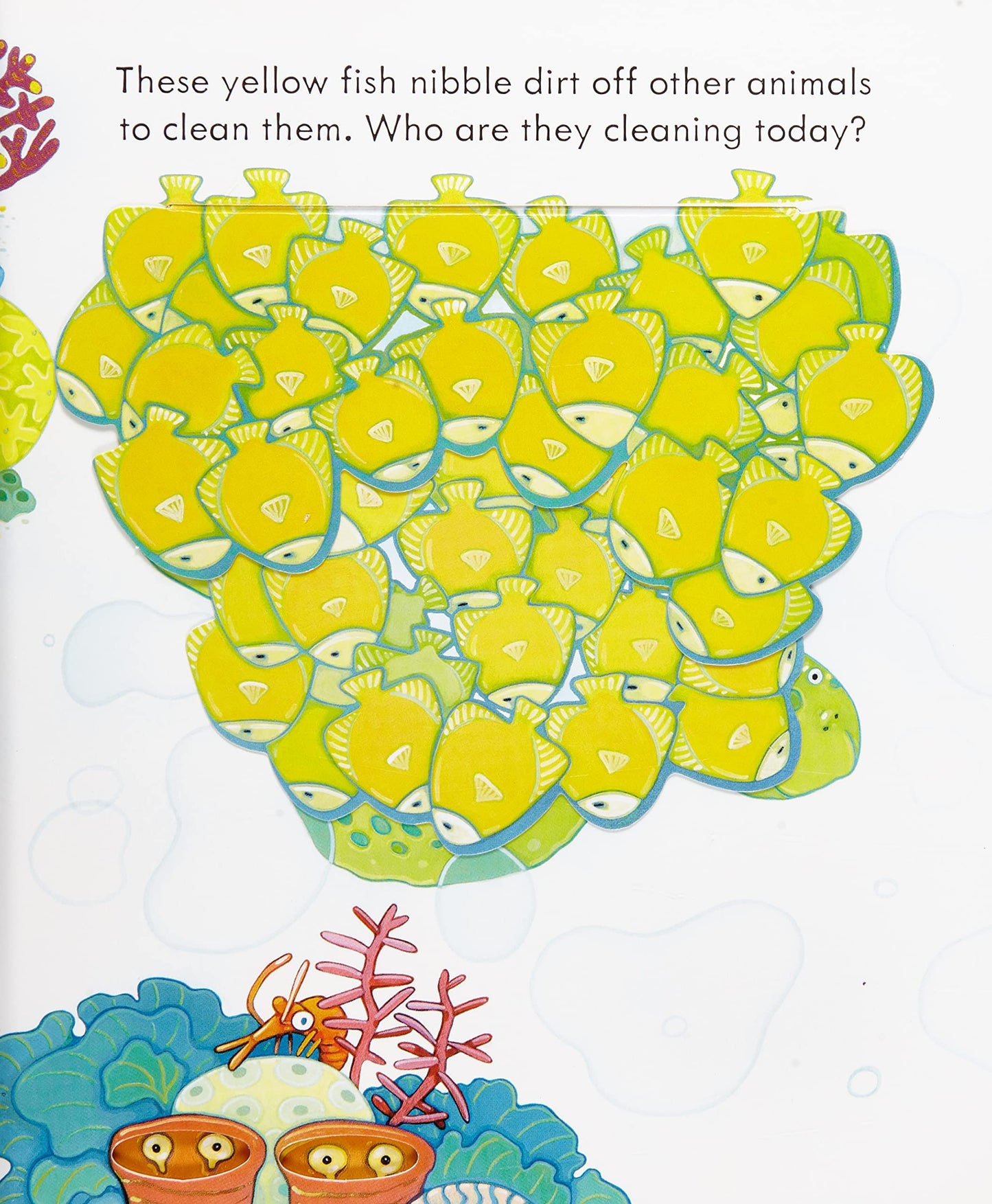 Peep Inside The Sea [Board book] NA