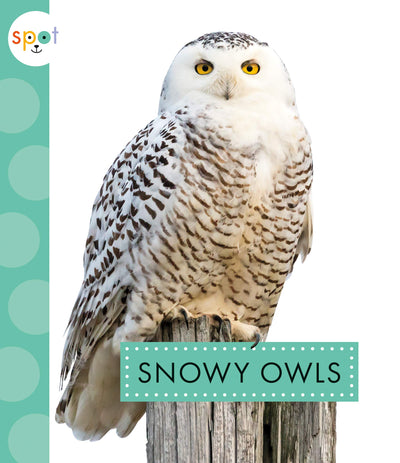 Snowy Owls (Spot Arctic Animals)