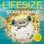 Red Shed Lifesize Ocean Animals.