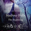 Shadow Falls: The Beginning: Born at Midnight and Awake at Dawn (A Shadow Falls Novel)