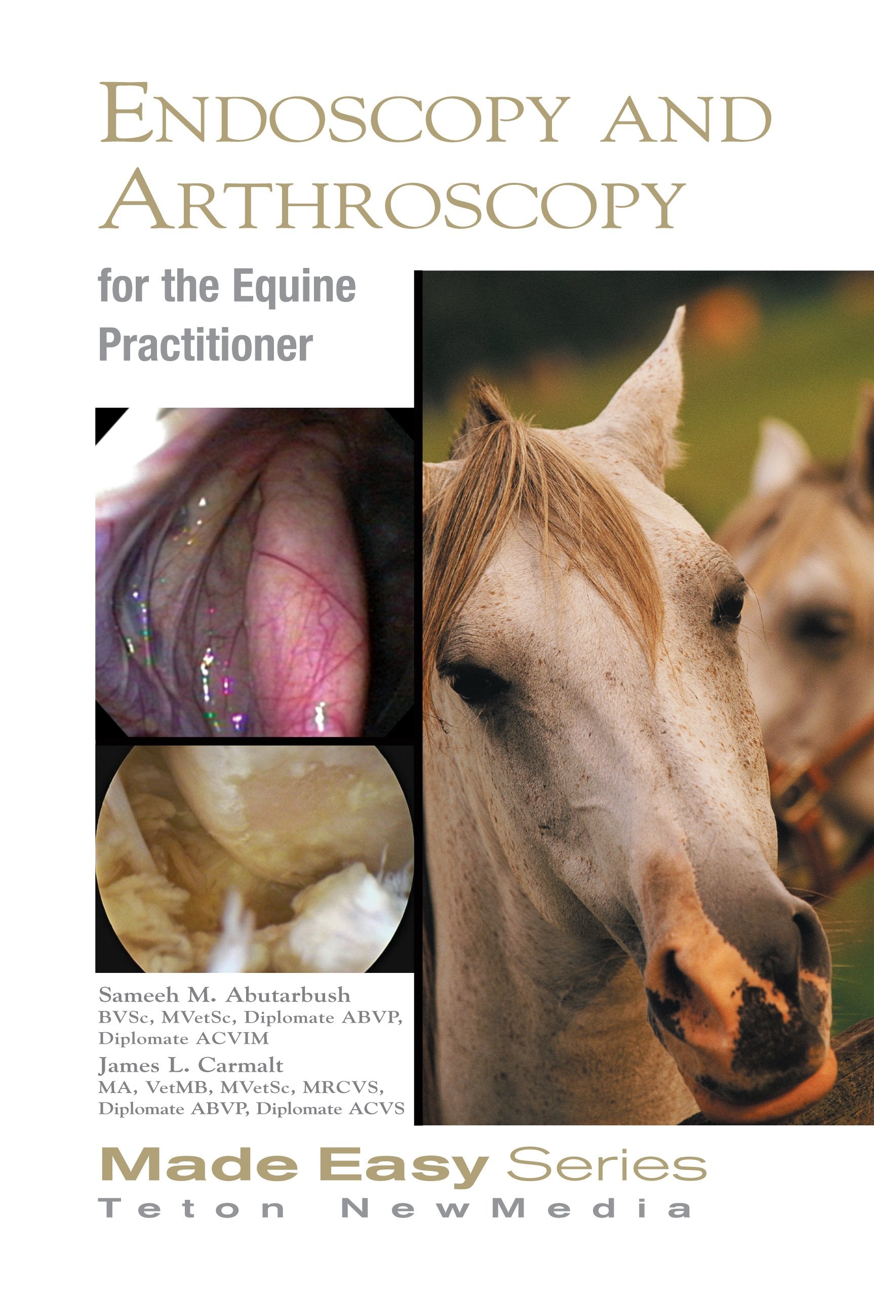 Equine Endoscopy and Arthroscopy for the Equine Practitioner (Equine Made Easy Series)