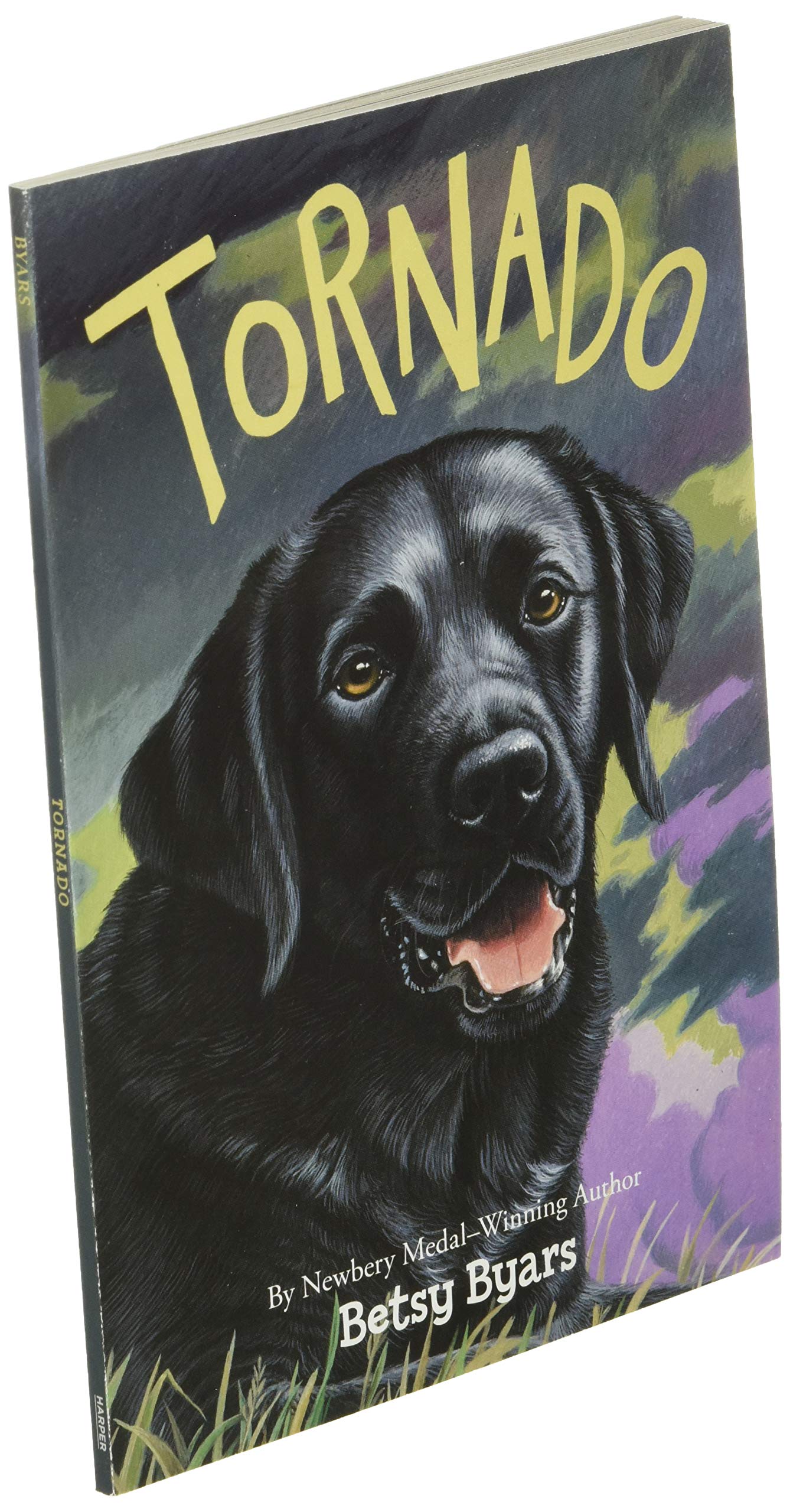 Tornado (Trophy Chapter Book)