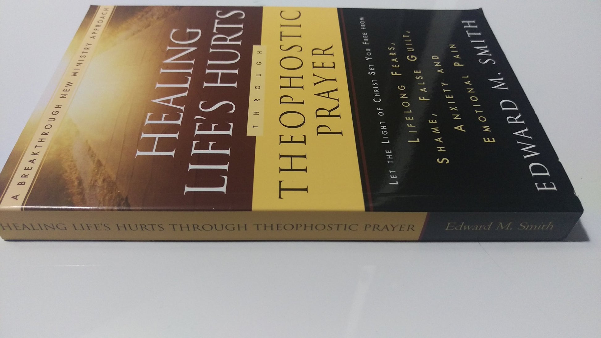 Healing Life's Hurts Through Theophostic Prayer: Let The Light Of Christ Set You Free From Lifelong Fears, Shame, False Guilt, Anxiety And Emotional Pain
