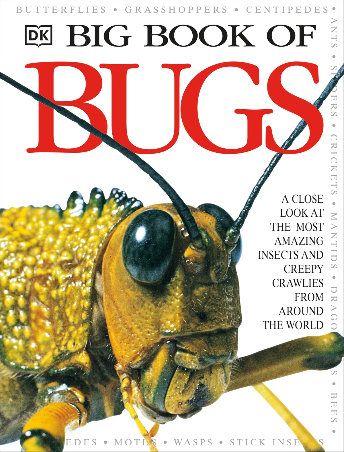 Big Book of Bugs