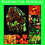 Introduction to Radioactive Minerals