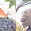 A Stone Sat Still: (Environmental and Nature Picture Book for Kids, Perspective Book for Preschool and Kindergarten, Award Winning Illustrator) (Brendan Wenzel)