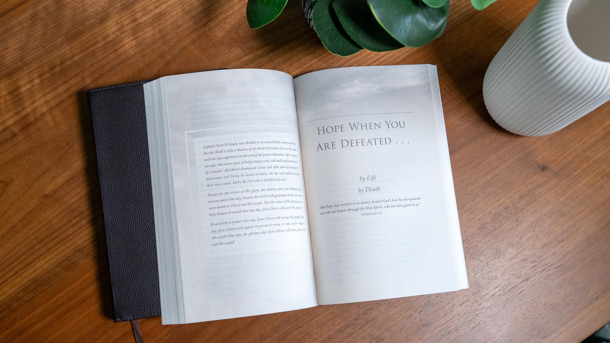 The Vision of His Glory, Revised and Updated: Finding Hope Through the Revelation of Jesus Christ