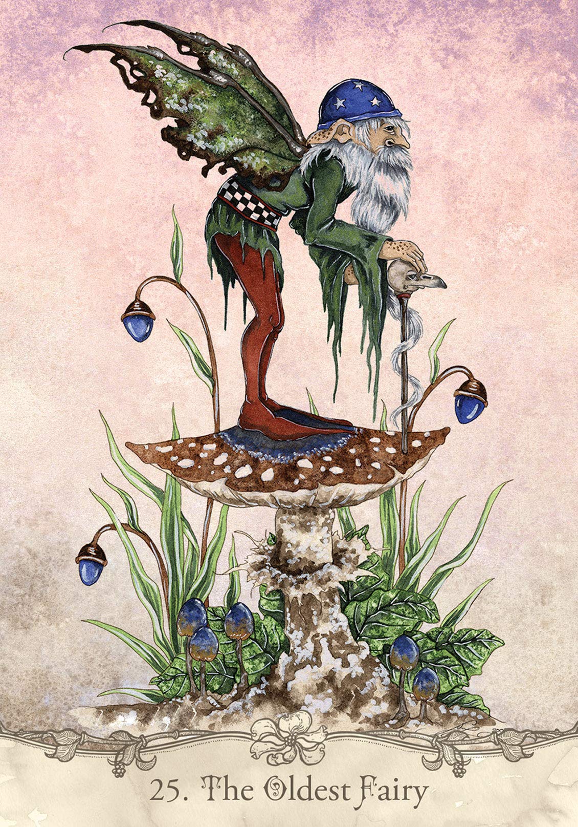 Fairy Wisdom Oracle Deck & Book Set: 64 Borderless Cards, Delicate, Whimsical Artwork by Fantasy Artist Amy Brown, Playful Fairies, Dragons and Elves, ... Fully Illustrated Hardcover Guidebook