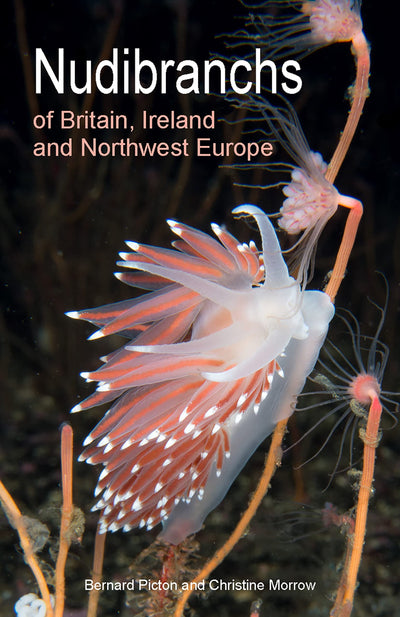Nudibranchs of Britain, Ireland and Northwest Europe: Second Edition (Wild Nature Press)