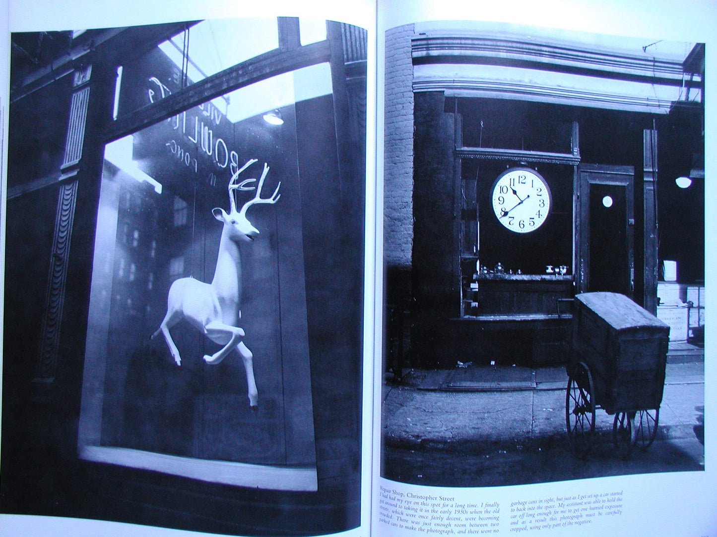 Berenice Abbott: American Photographer