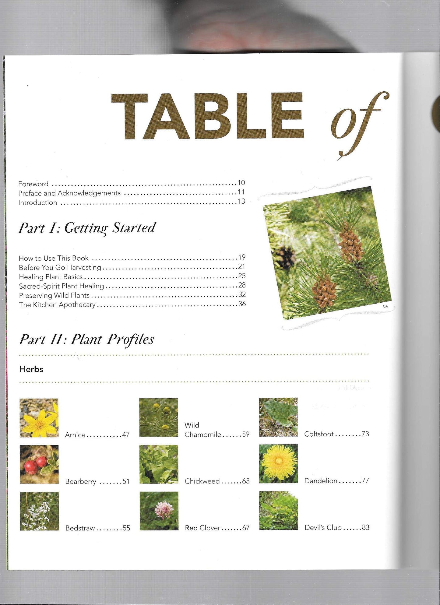 Boreal Herbal Wild Food and Medicine Plants of the North