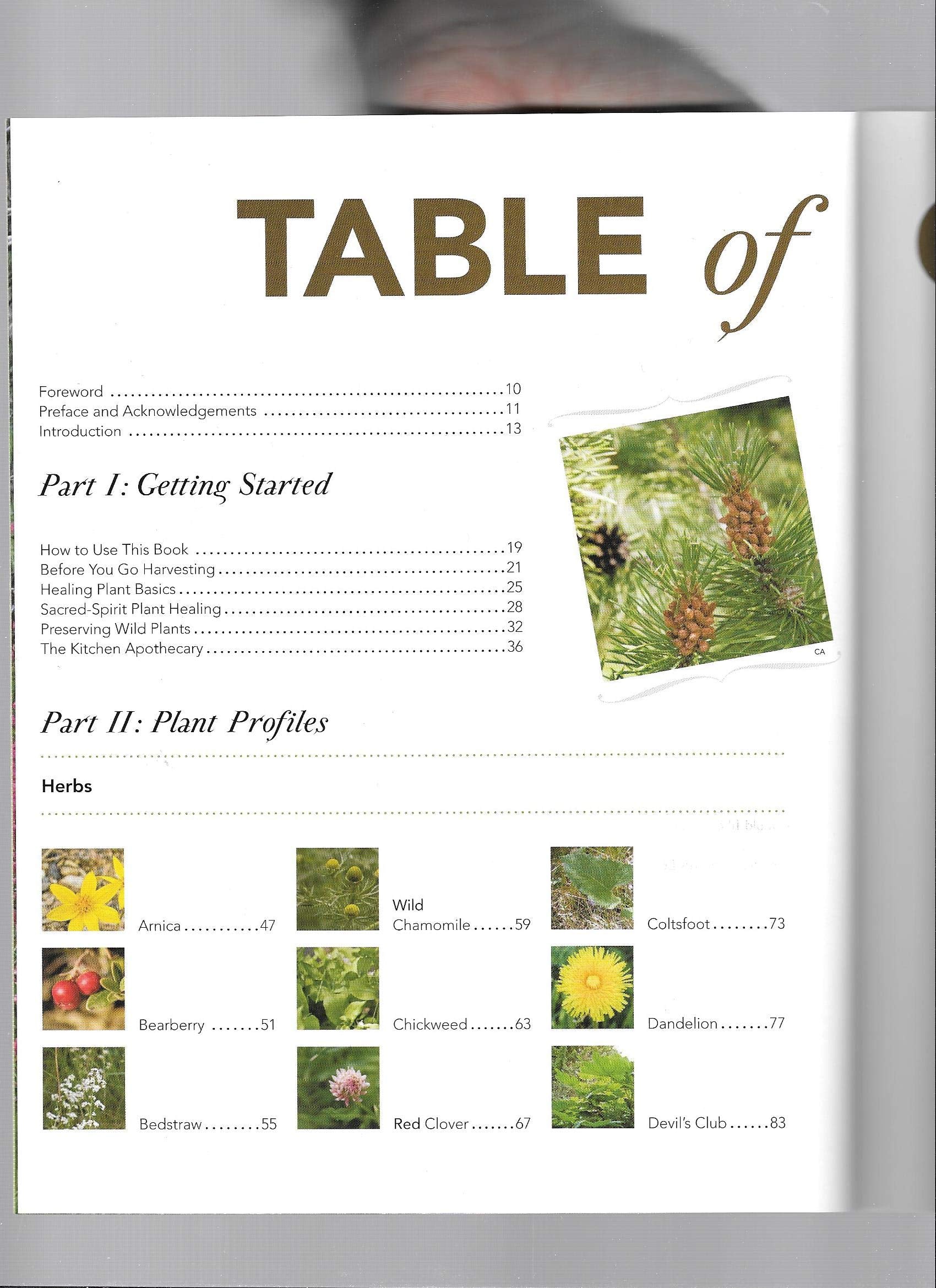 Boreal Herbal Wild Food and Medicine Plants of the North