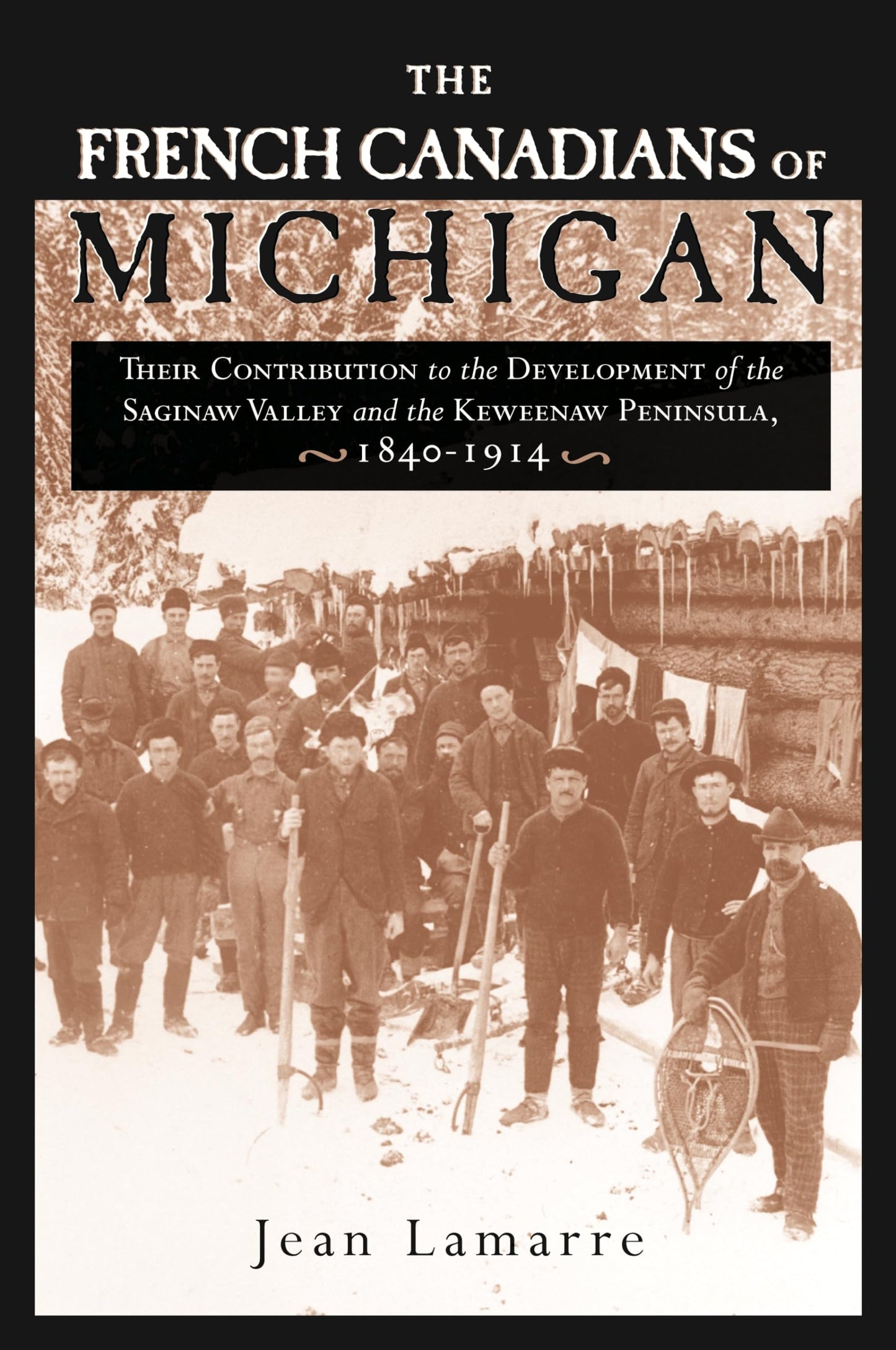 The French Canadians of Michigan: Their Contribution to the Development of the Saginaw Valley and the Keweenaw Peninsula, 1840-1914 (Great Lakes Books)