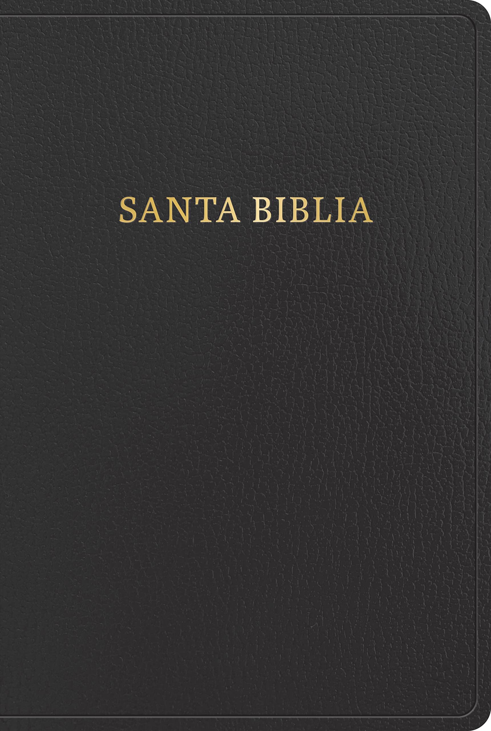 RVR 1960 Biblia letra gigante, negro imitacin piel con ndice (Edicin 2023): Santa Biblia (Spanish Edition)