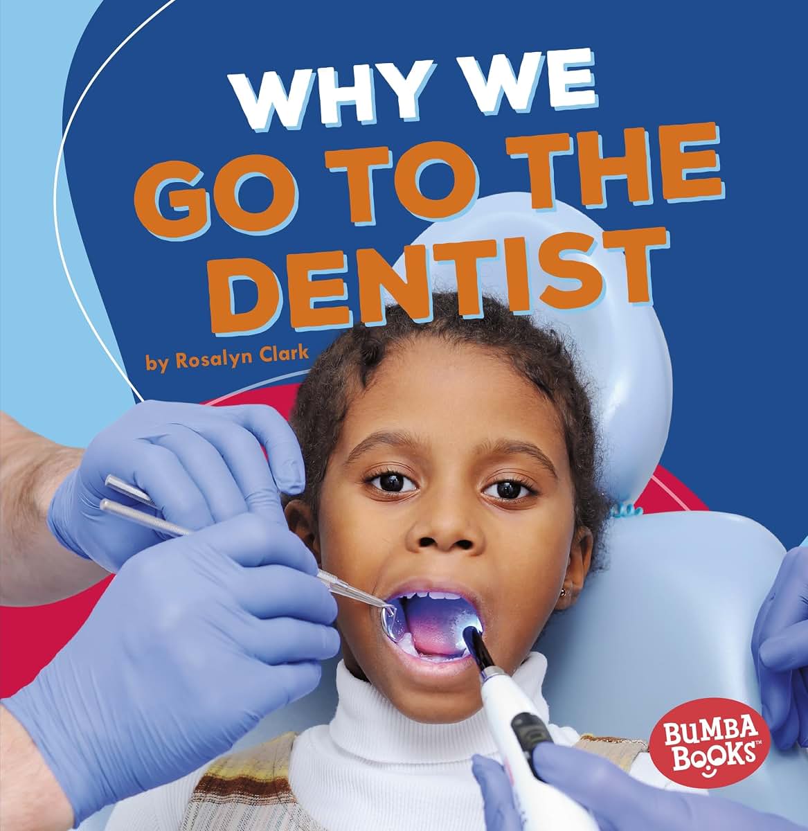 Why We Go to the Dentist (Bumba Books  - Health Matters)