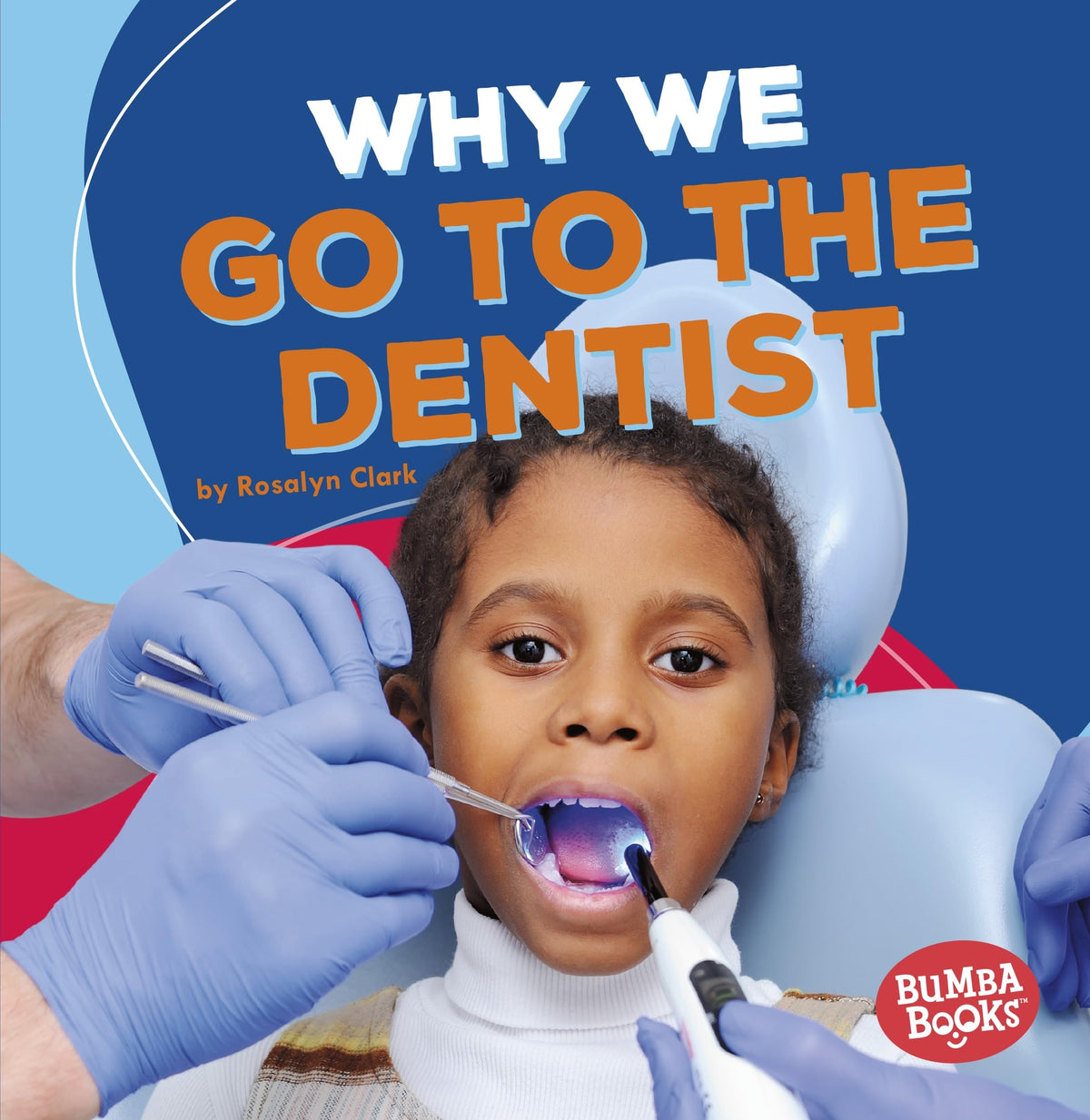 Why We Go to the Dentist (Bumba Books  - Health Matters)