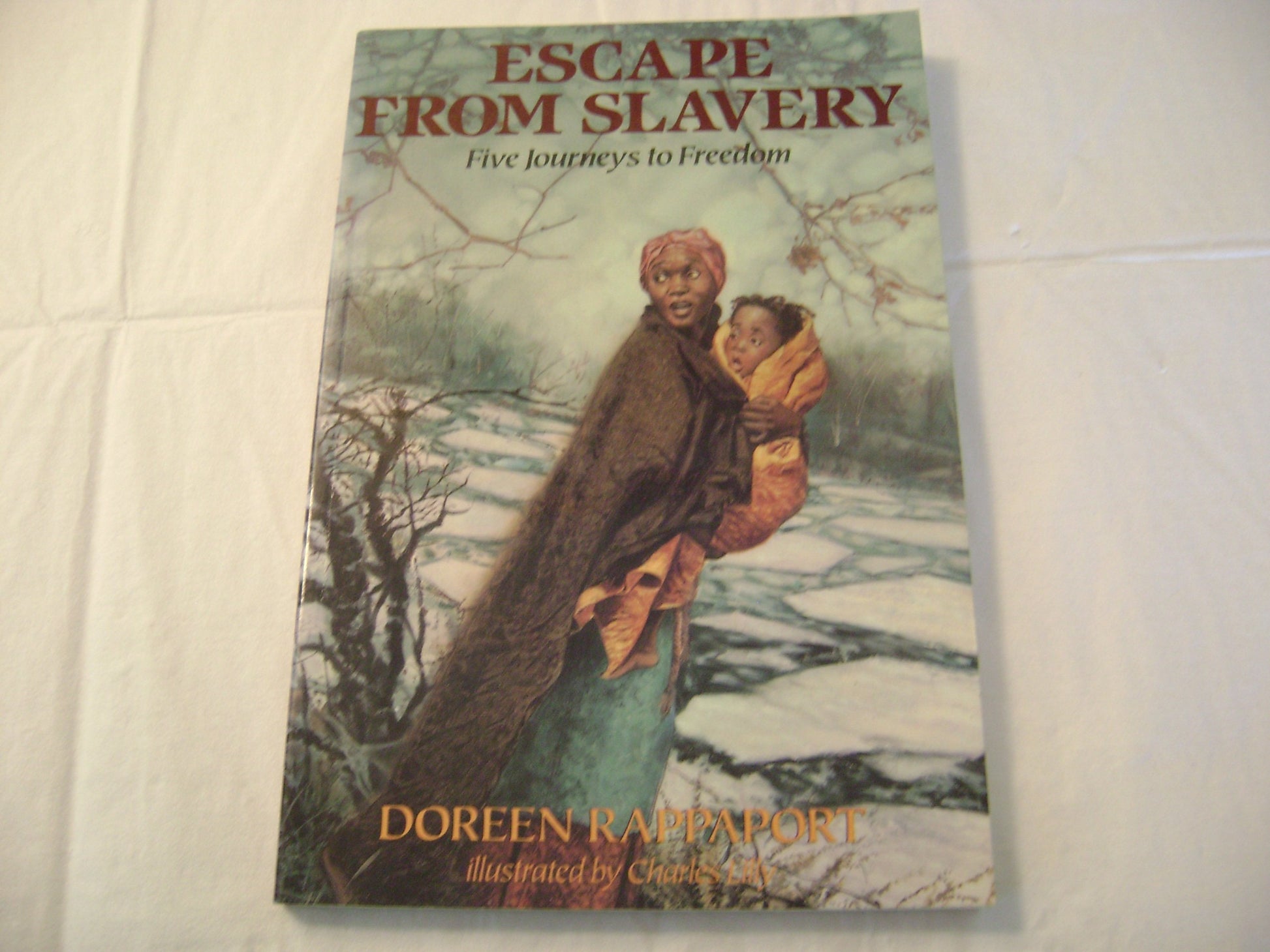 Escape from Slavery: Five Journeys to Freedom
