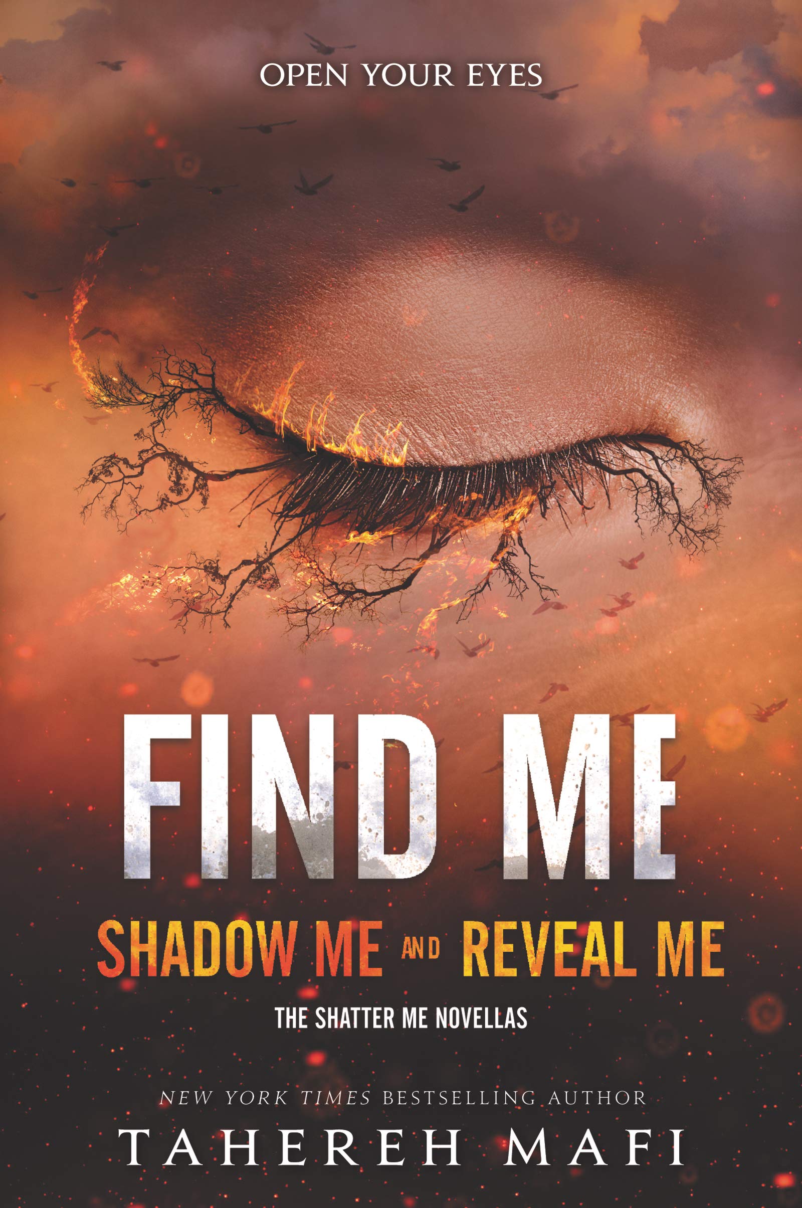 Find Me (Shatter Me Novella)