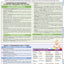 Psychology: Developmental (Life Span): QuickStudy Laminated Reference Guide (Quick Study Academic)