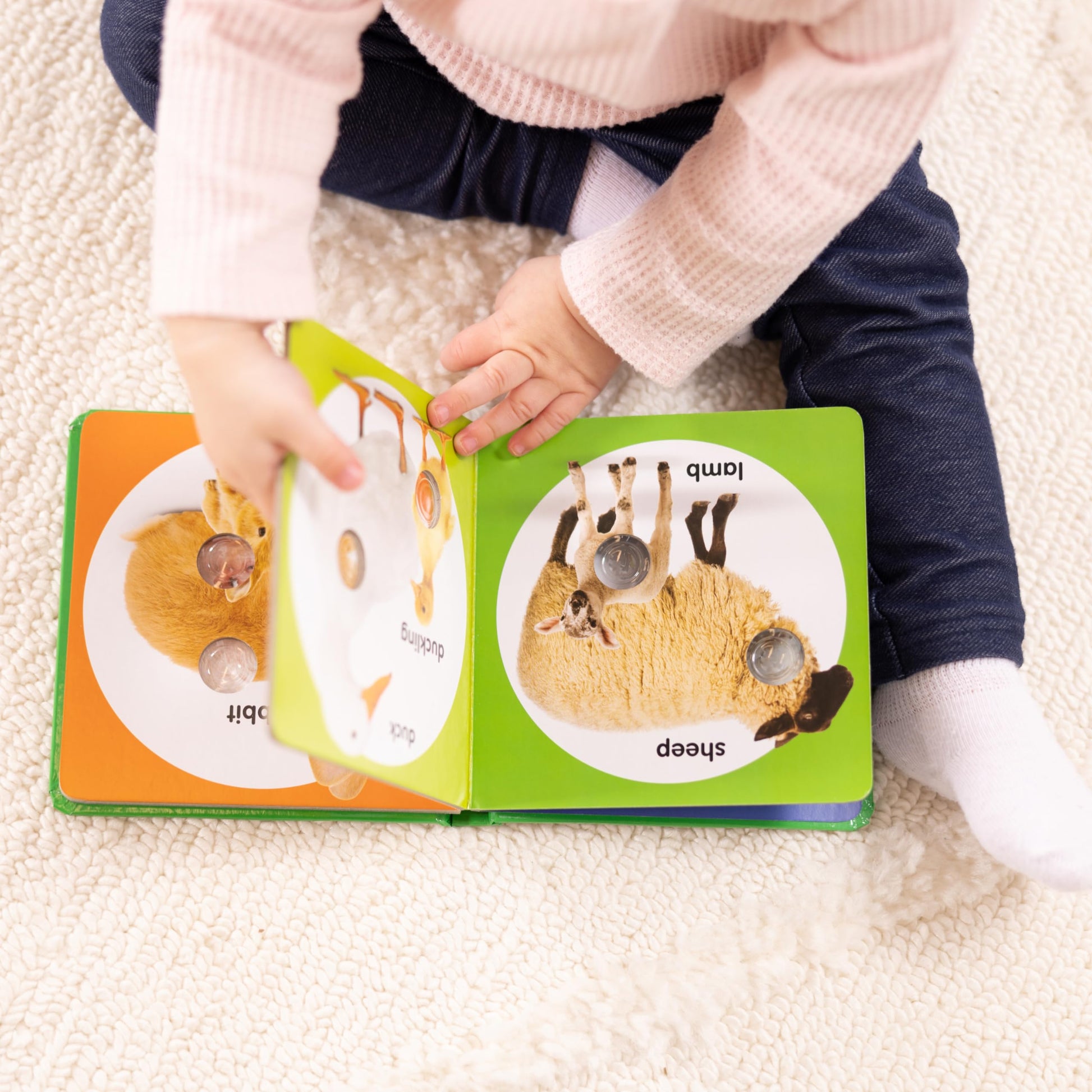 Melissa & Doug Poke-A-Dot: Farm Animal Families