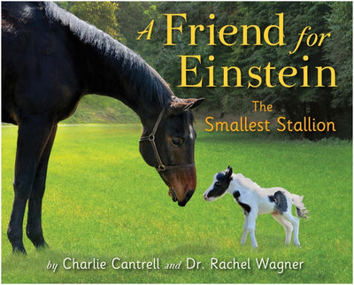 A Friend for Einstein, the Smallest Stallion