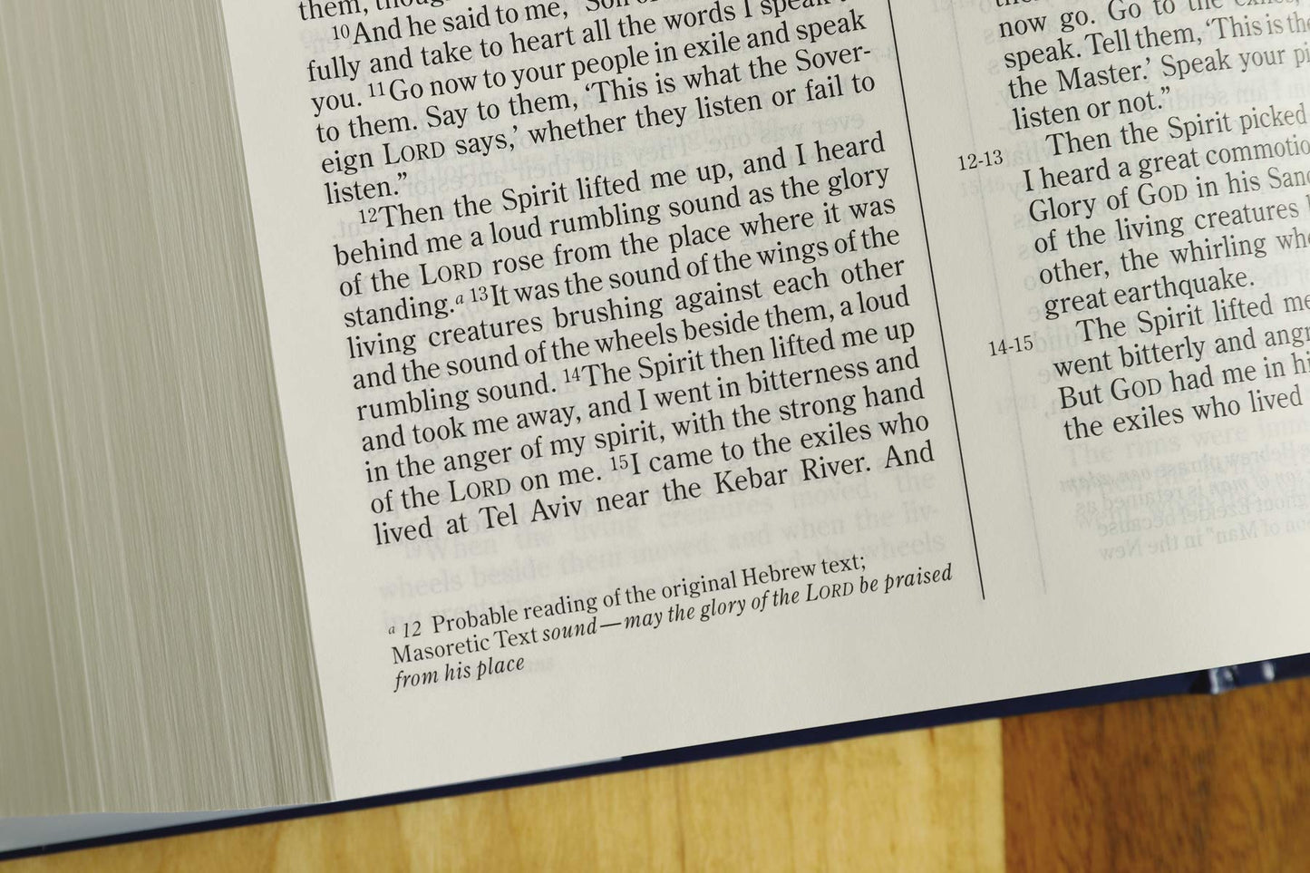 NIV, The Message, Parallel Bible, Hardcover: Two Bible Versi