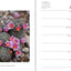 Sierra Club Engagement Calendar 2021