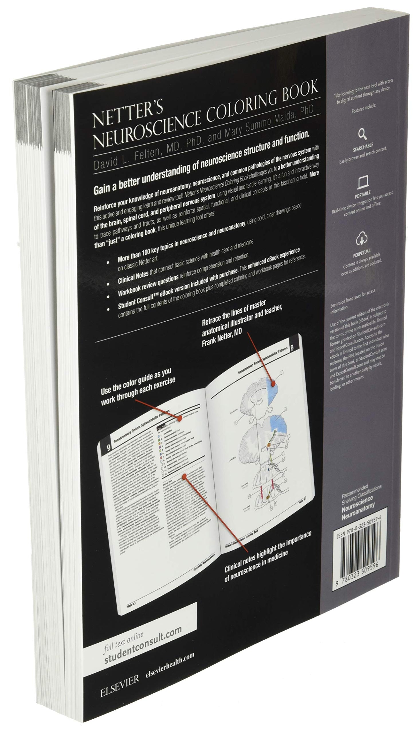 Netter's Neuroscience Coloring Book (Netter Basic Science)