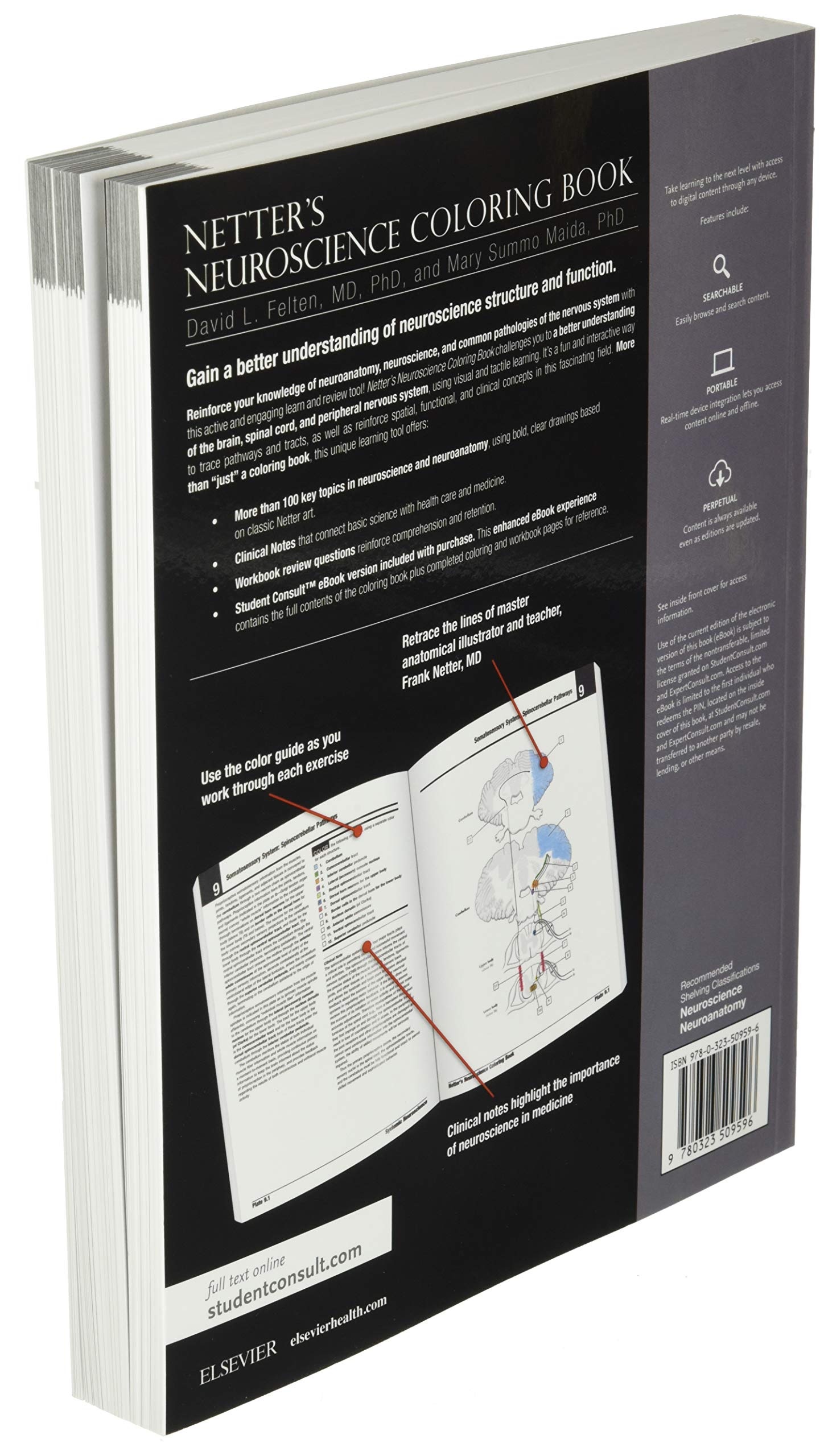 Netter's Neuroscience Coloring Book (Netter Basic Science)