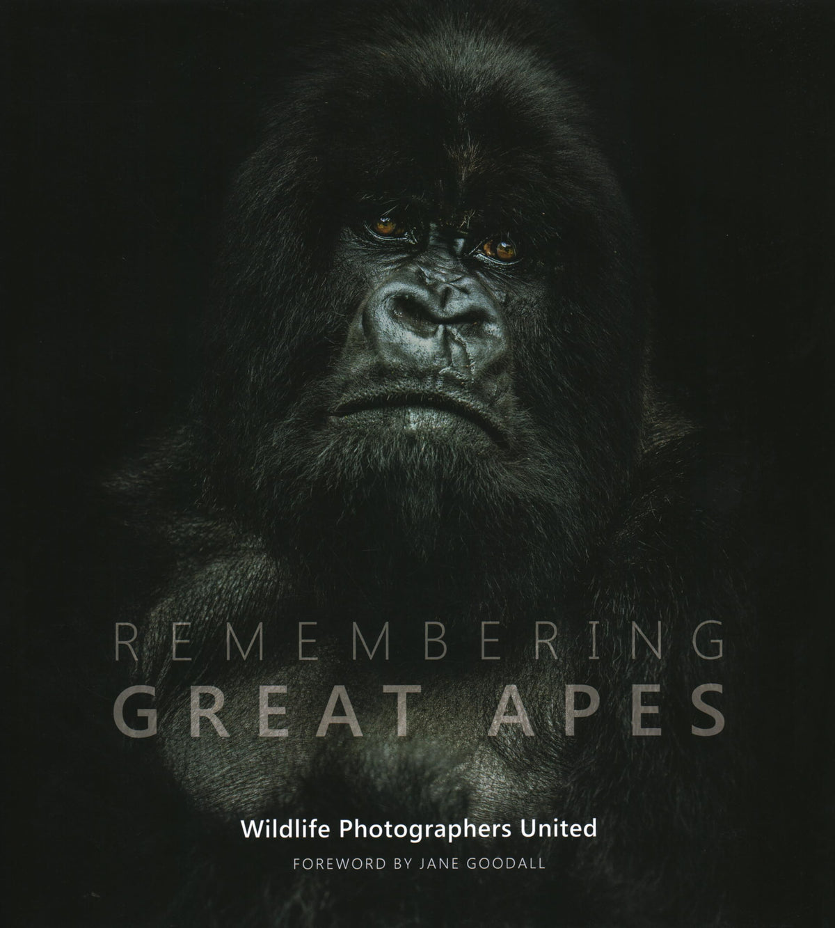Remembering Great Apes (Remembering Wildlife)