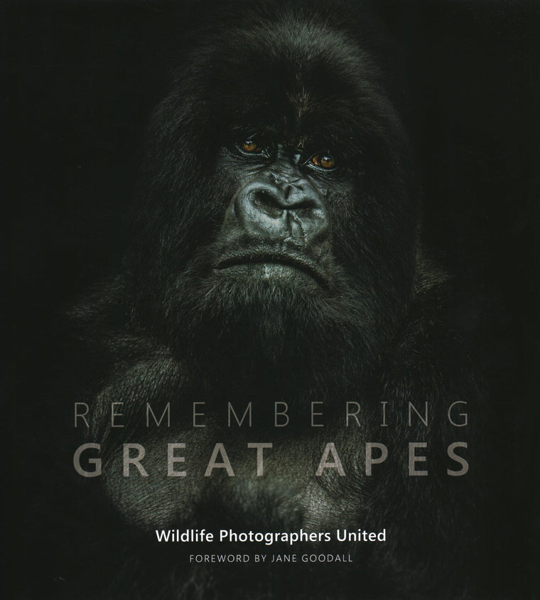 Remembering Great Apes (Remembering Wildlife)