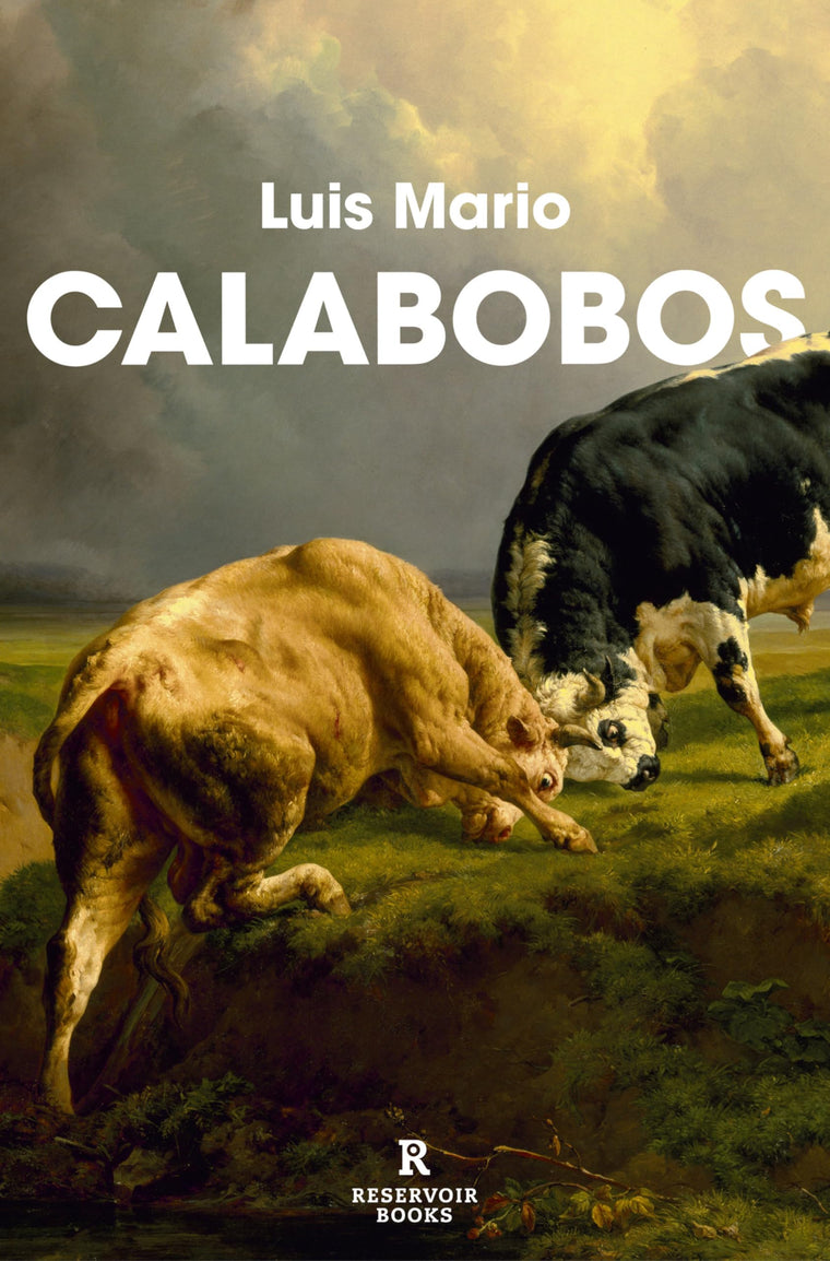 Calabobos / Drizzle (Spanish Edition)
