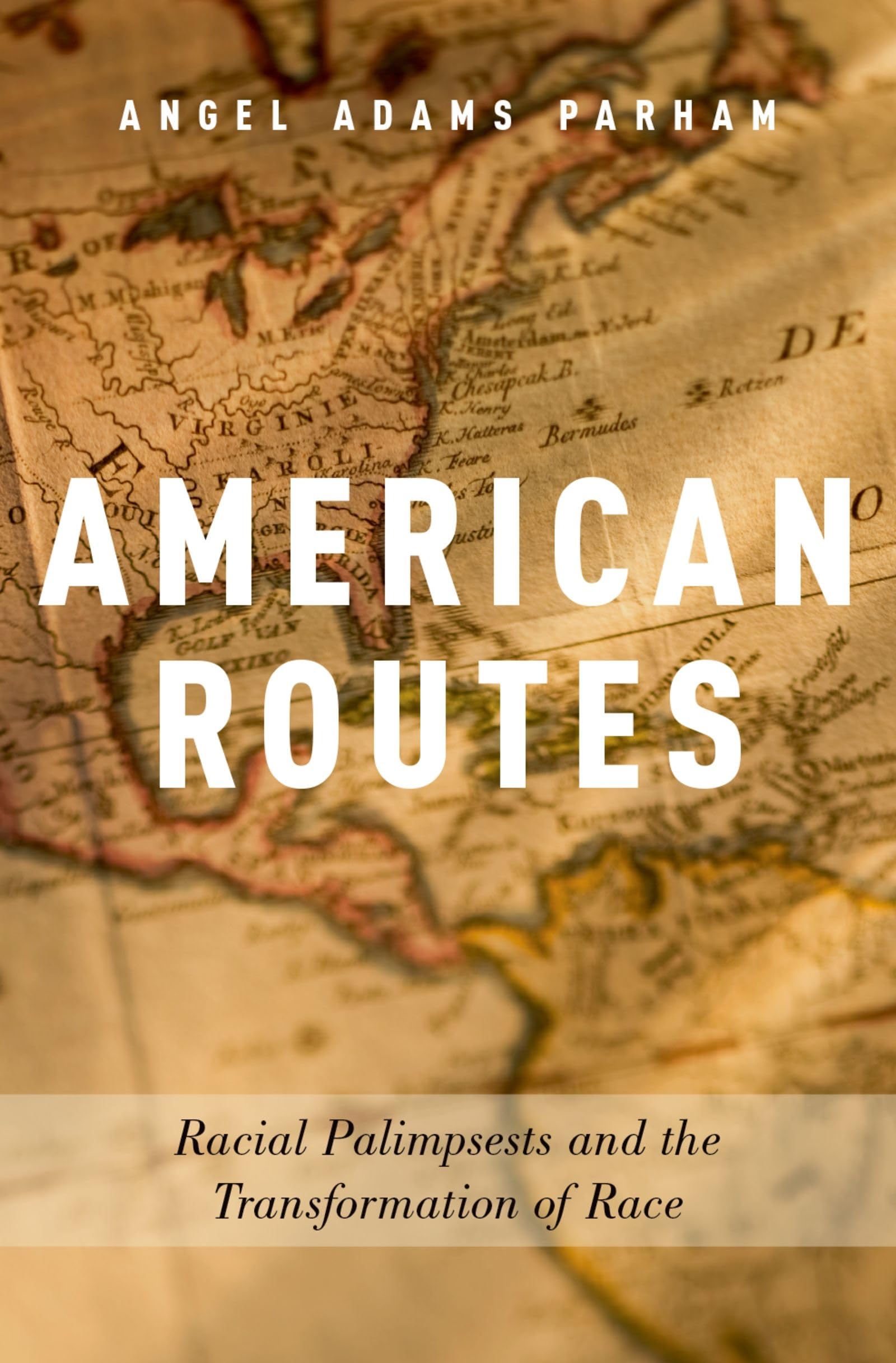 American Routes: Racial Palimpsests and the Transformation of Race