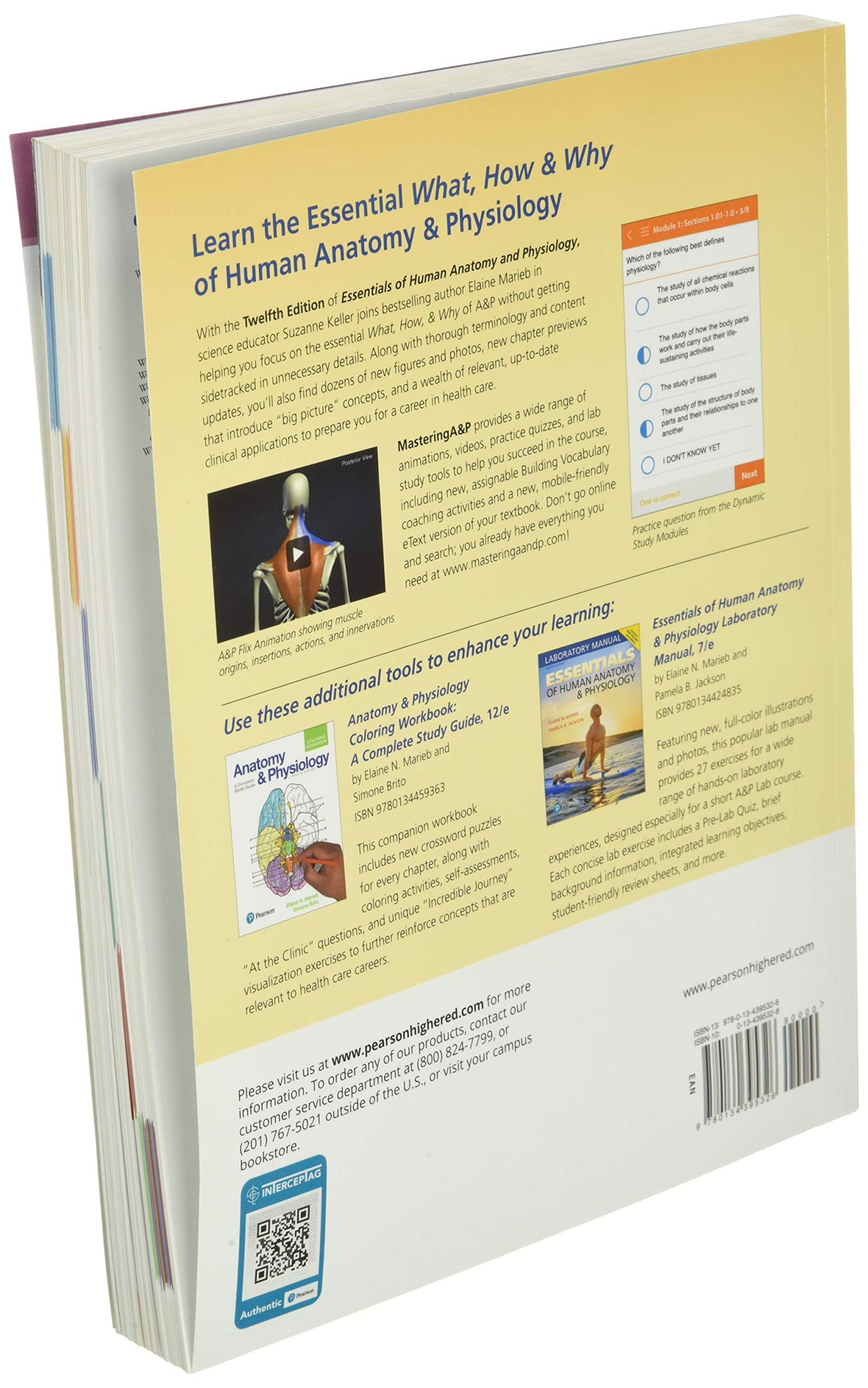Essentials of Human Anatomy & Physiology
