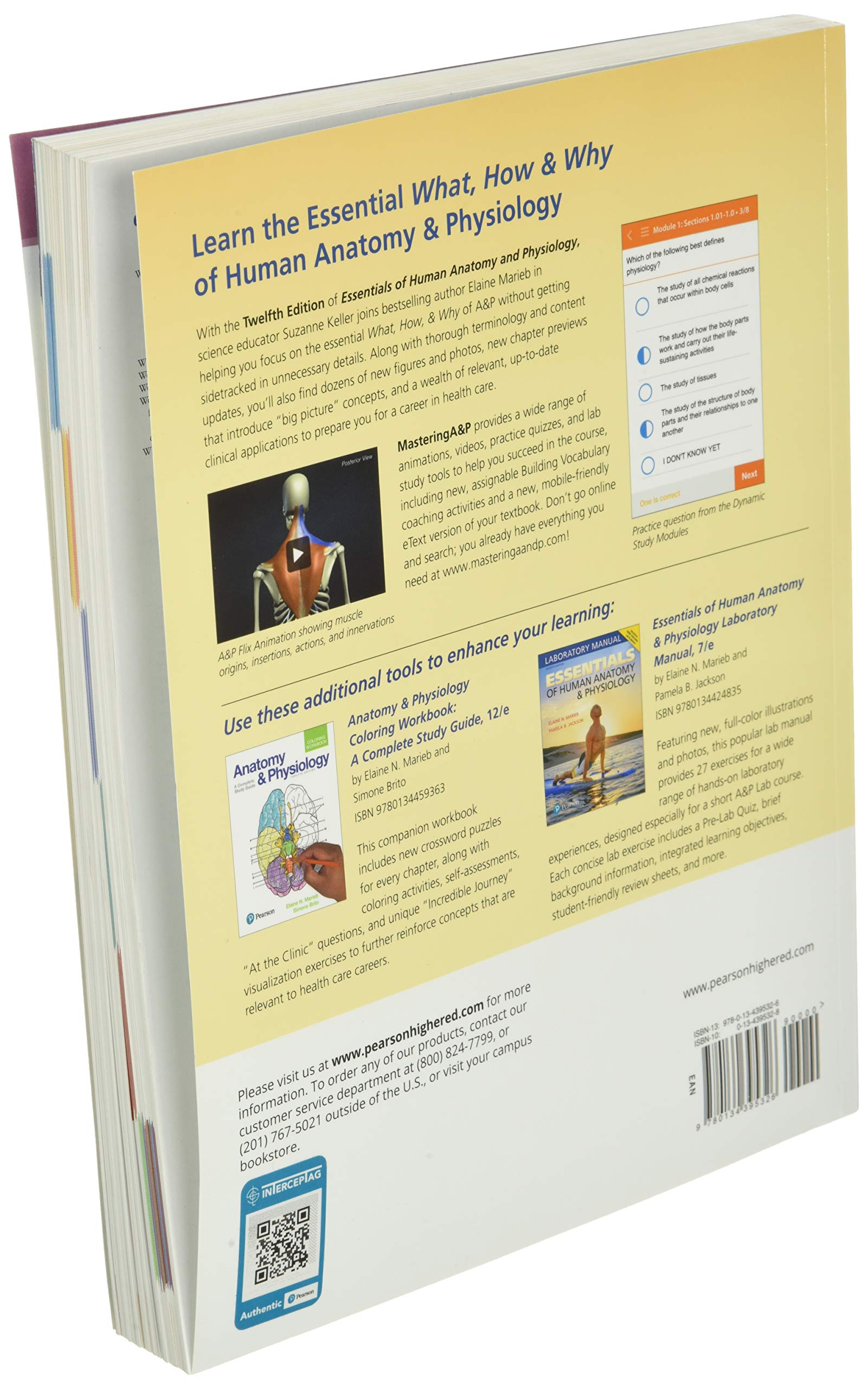 Essentials of Human Anatomy & Physiology