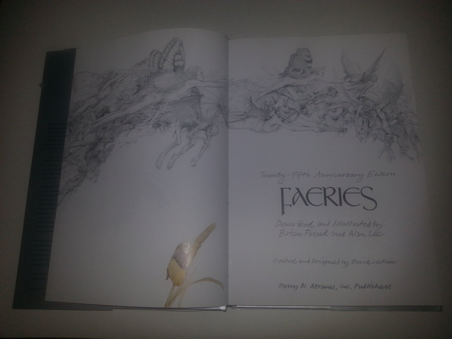 Faeries (25th Anniversary Edition) by Brian Froud